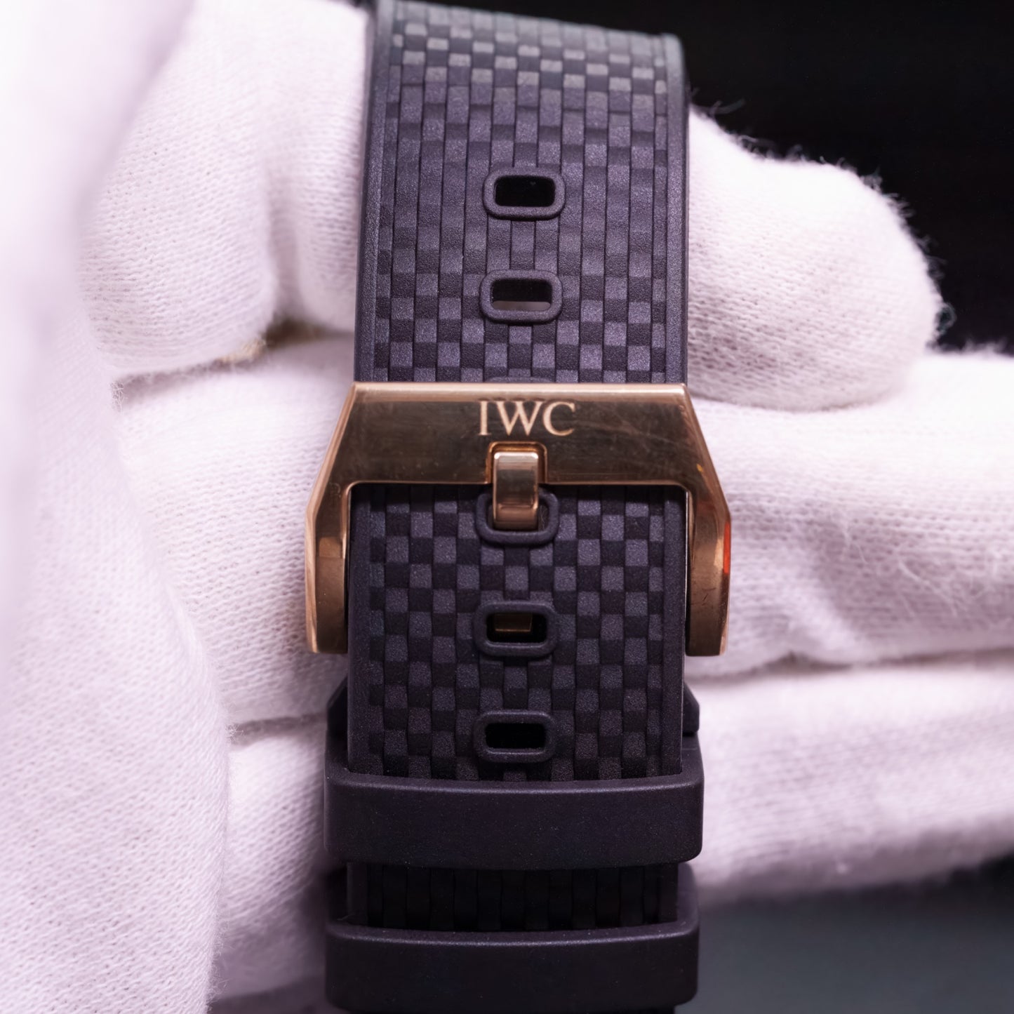 IWC Aquatimer Chronograph Charles Darwin - IW379503
