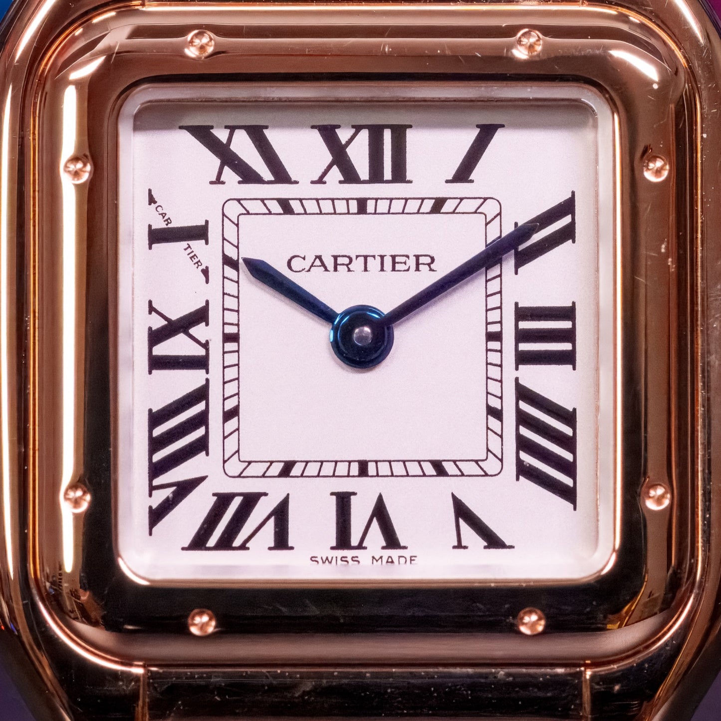 Cartier Panthére De Cartier Small - WGPN0060